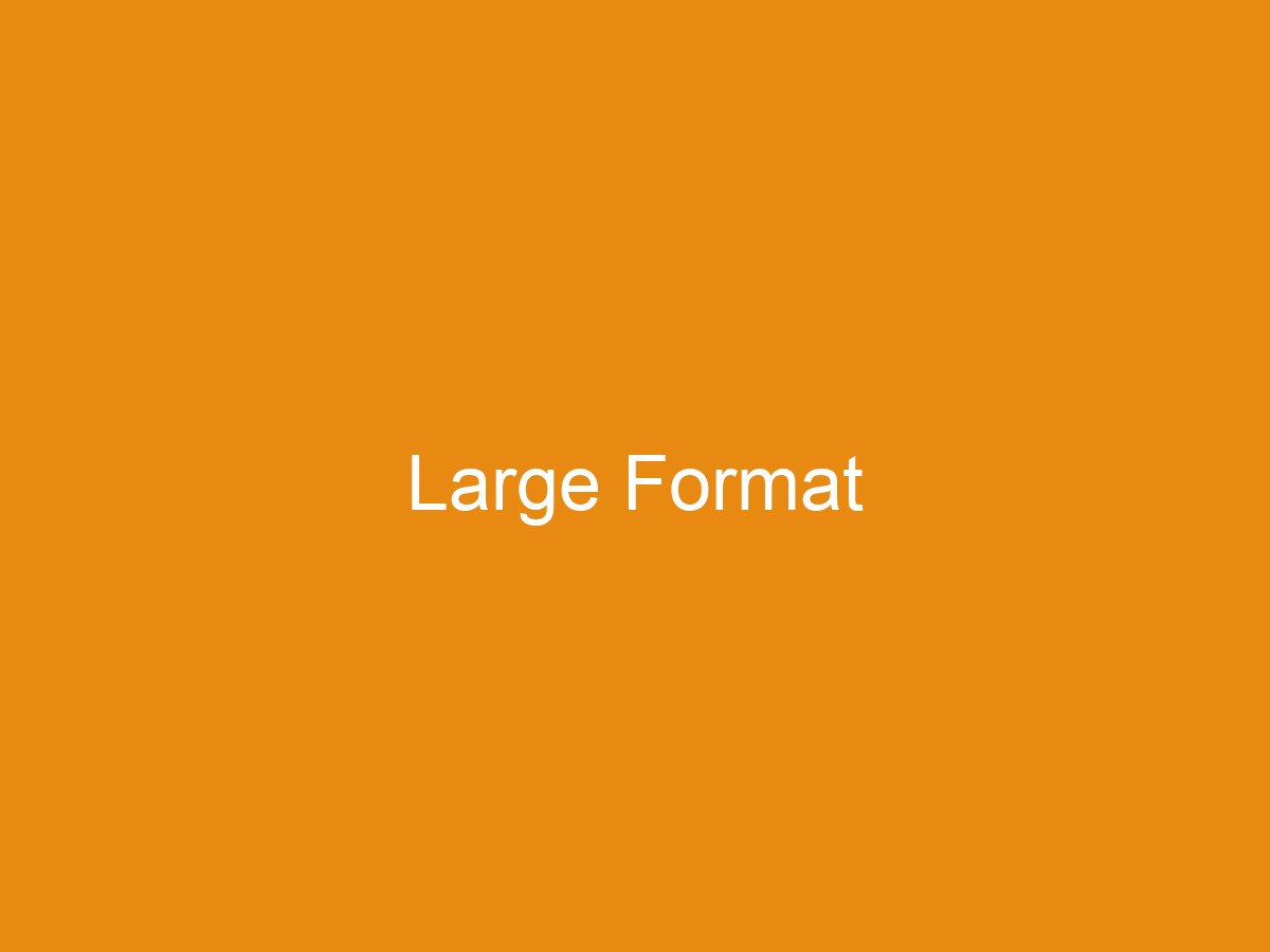 Large-Format Graphics